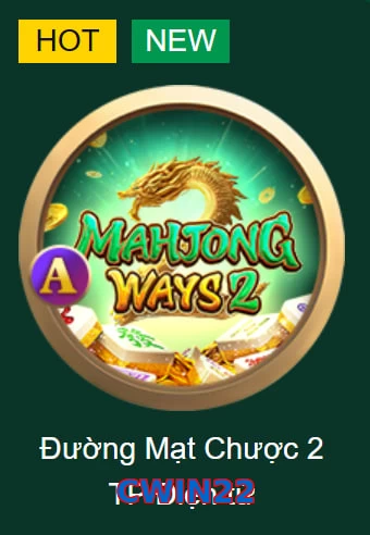 CWIN22