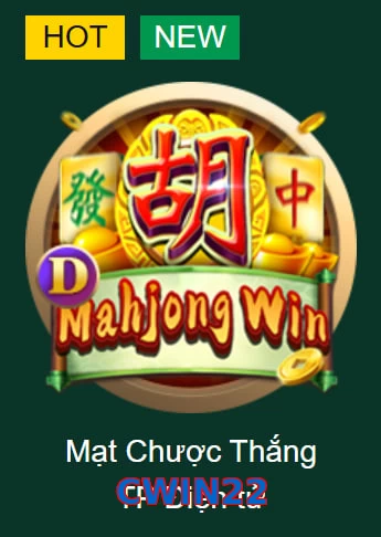CWIN22