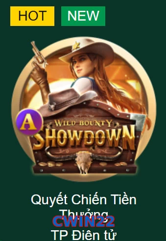 CWIN22
