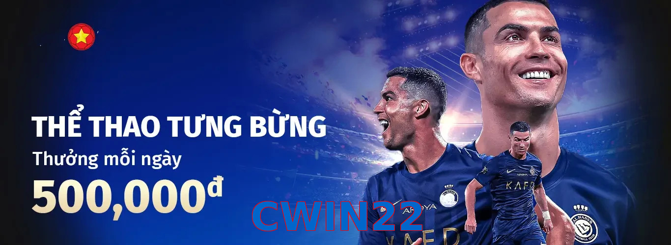 CWIN22